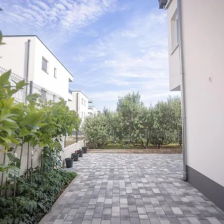 Veronika * טרוגיר